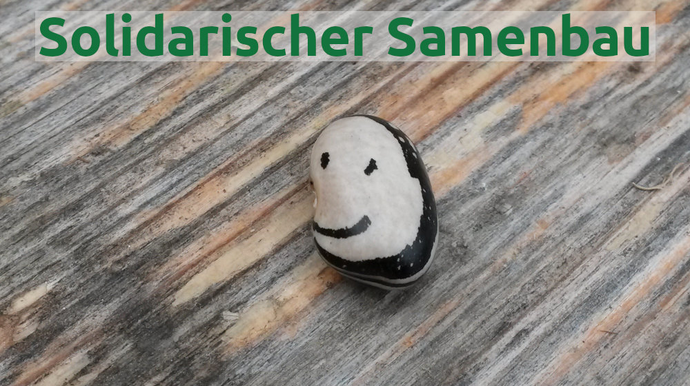 20.11. & 10.12.2024: Solidarischer Samenbau, online